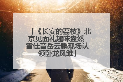 《长安的荔枝》北京见面礼趣味盎然 雷佳音岳云鹏现场认领卧龙凤雏