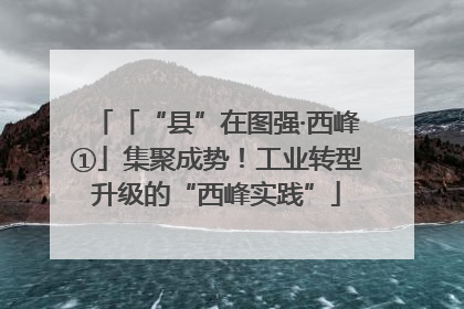 「“县”在图强·西峰①」集聚成势！工业转型升级的“西峰实践”