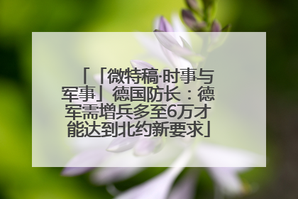 「微特稿·时事与军事」德国防长：德军需增兵多至6万才能达到北约新要求