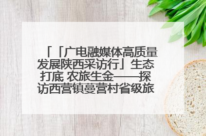 「广电融媒体高质量发展陕西采访行」生态打底 农旅生金——探访西营镇蔓营村省级旅游示范村的振兴密码