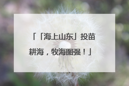 「海上山东」投苗耕海，牧海图强！
