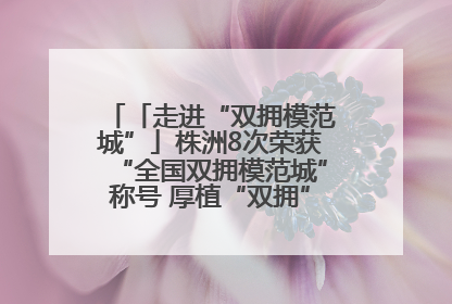 「走进“双拥模范城”」株洲8次荣获“全国双拥模范城”称号 厚植“双拥”沃土谱新篇