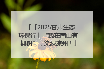 「2025甘肃生态环保行」“我在南山有棵树”，染绿凉州！