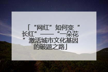 “网红”如何变“长红”——“一朵花”激活城市文化基因的破题之路