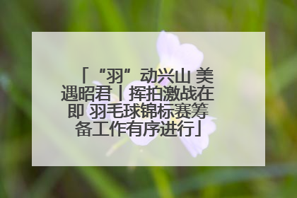 “羽”动兴山 美遇昭君丨挥拍激战在即 羽毛球锦标赛筹备工作有序进行