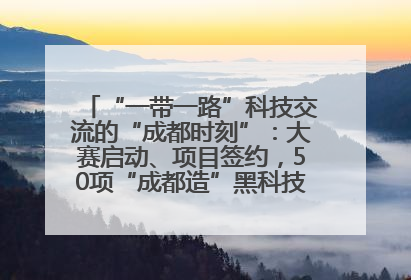 “一带一路”科技交流的“成都时刻”：大赛启动、项目签约，50项“成都造”黑科技吸引多国客商