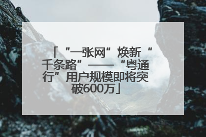 “一张网”焕新“千条路”——“粤通行”用户规模即将突破600万