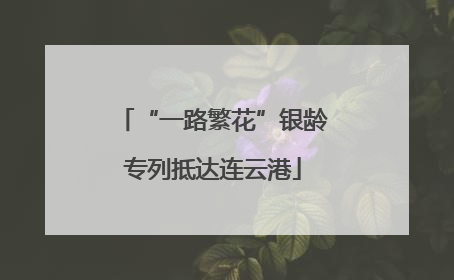 “一路繁花”银龄专列抵达连云港