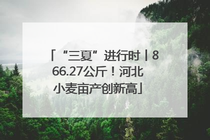 “三夏”进行时丨866.27公斤！河北小麦亩产创新高