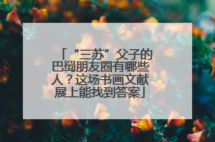 “三苏”父子的巴蜀朋友圈有哪些人？这场书画文献展上能找到答案