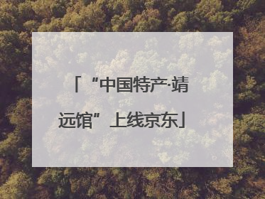 “中国特产·靖远馆”上线京东