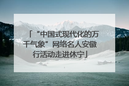 “中国式现代化的万千气象”网络名人安徽行活动走进休宁