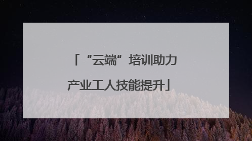 “云端”培训助力产业工人技能提升