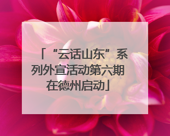 “云话山东”系列外宣活动第六期在德州启动