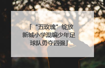 “五玫瑰”绽放 新城小学混编少年足球队勇夺四强