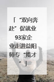 “双向奔赴”促就业 93家企业走进益阳师专“揽才”