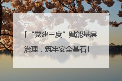“党建三度”赋能基层治理，筑牢安全基石