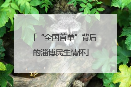 “全国首单”背后的淄博民生情怀