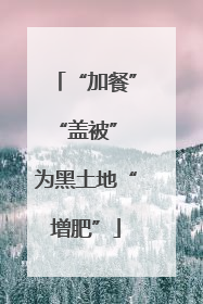“加餐”“盖被” 为黑土地“增肥”