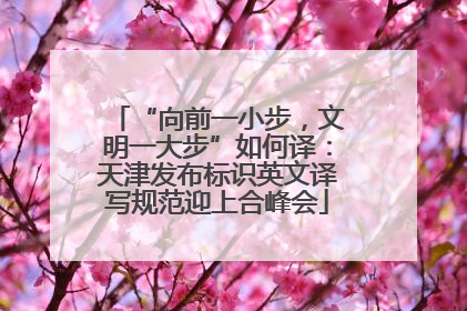 “向前一小步，文明一大步”如何译：天津发布标识英文译写规范迎上合峰会