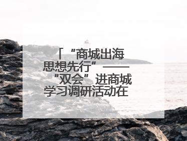 “商城出海 思想先行”——“双会”进商城学习调研活动在临沂顺利开展