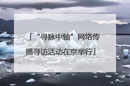 “寻脉中轴”网络传播寻访活动在京举行