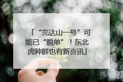 “完达山一号”可能已“脱单”！东北虎种群也有新喜讯