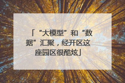 “大模型”和“数据”汇聚，经开区这座园区很酷炫