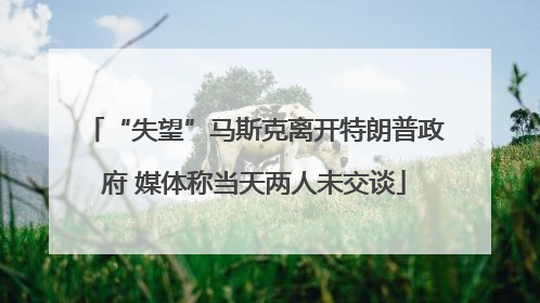 “失望”马斯克离开特朗普政府 媒体称当天两人未交谈