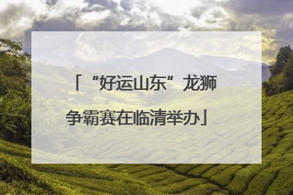 “好运山东”龙狮争霸赛在临清举办