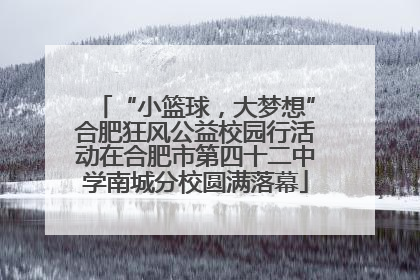 “小篮球，大梦想”合肥狂风公益校园行活动在合肥市第四十二中学南城分校圆满落幕