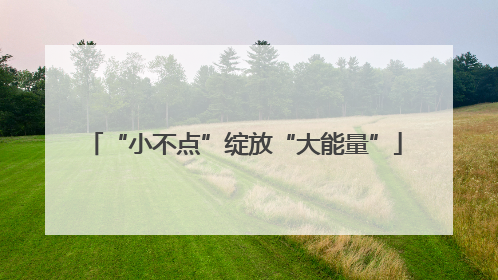 “小不点”绽放“大能量”