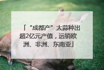 “成都产”大蒜种出超2亿元产值，远销欧洲、非洲、东南亚