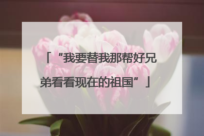 “我要替我那帮好兄弟看看现在的祖国”