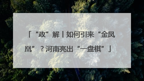 “政”解丨如何引来“金凤凰”？河南亮出“一盘棋”