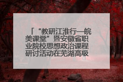“教研江淮行—皖美课堂”暨安徽省职业院校思想政治课程研讨活动在芜湖高级职业技术学校举行