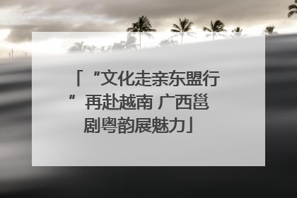“文化走亲东盟行”再赴越南 广西邕剧粤韵展魅力