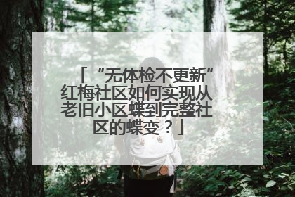 “无体检不更新”红梅社区如何实现从老旧小区蝶到完整社区的蝶变？