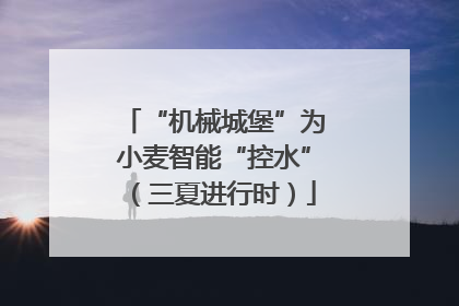 “机械城堡”为小麦智能“控水”（三夏进行时）