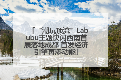 “潮玩顶流”Labubu主题快闪西南首展落地成都 首发经济引擎再添动能