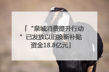 “泉城消费提升行动”已发放以旧换新补贴资金18.8亿元