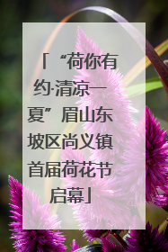“荷你有约·清凉一夏”眉山东坡区尚义镇首届荷花节启幕