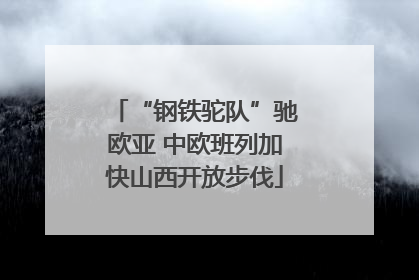 “钢铁驼队”驰欧亚 中欧班列加快山西开放步伐