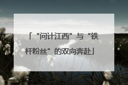 “问计江西”与“铁杆粉丝”的双向奔赴