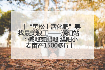 “黑松土活化肥”寻找最美粮王——濮阳站：碱地变肥地 濮阳小麦亩产1500多斤