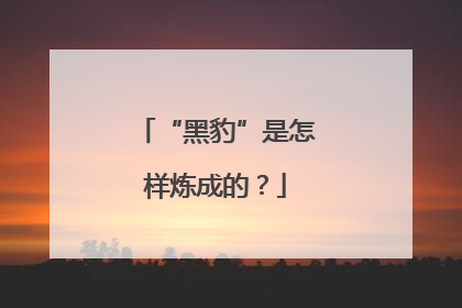 “黑豹”是怎样炼成的？