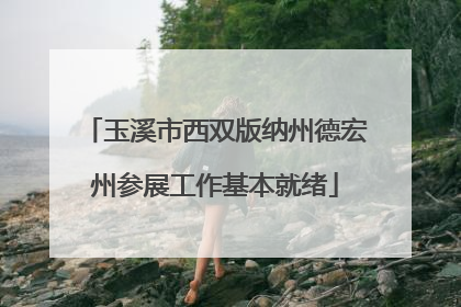 玉溪市西双版纳州德宏州参展工作基本就绪