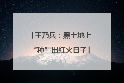 王乃兵：黑土地上“种”出红火日子