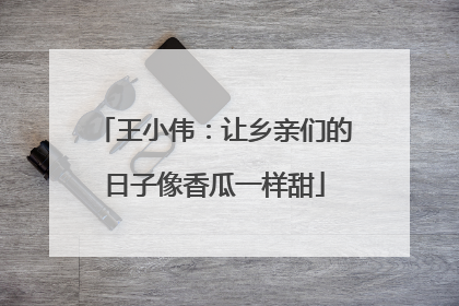 王小伟：让乡亲们的日子像香瓜一样甜