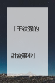 王铁强的甜蜜事业